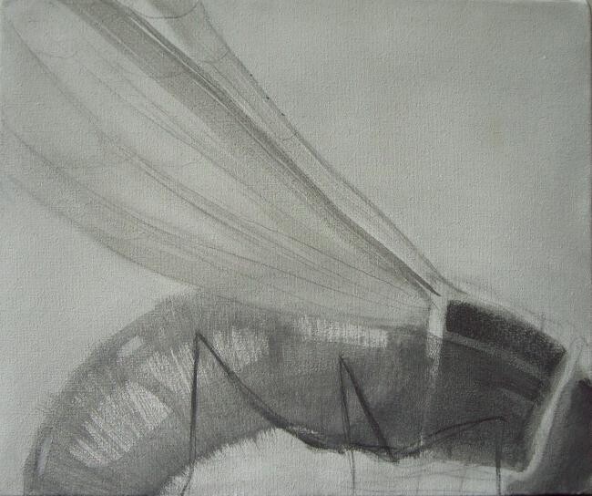 Fly